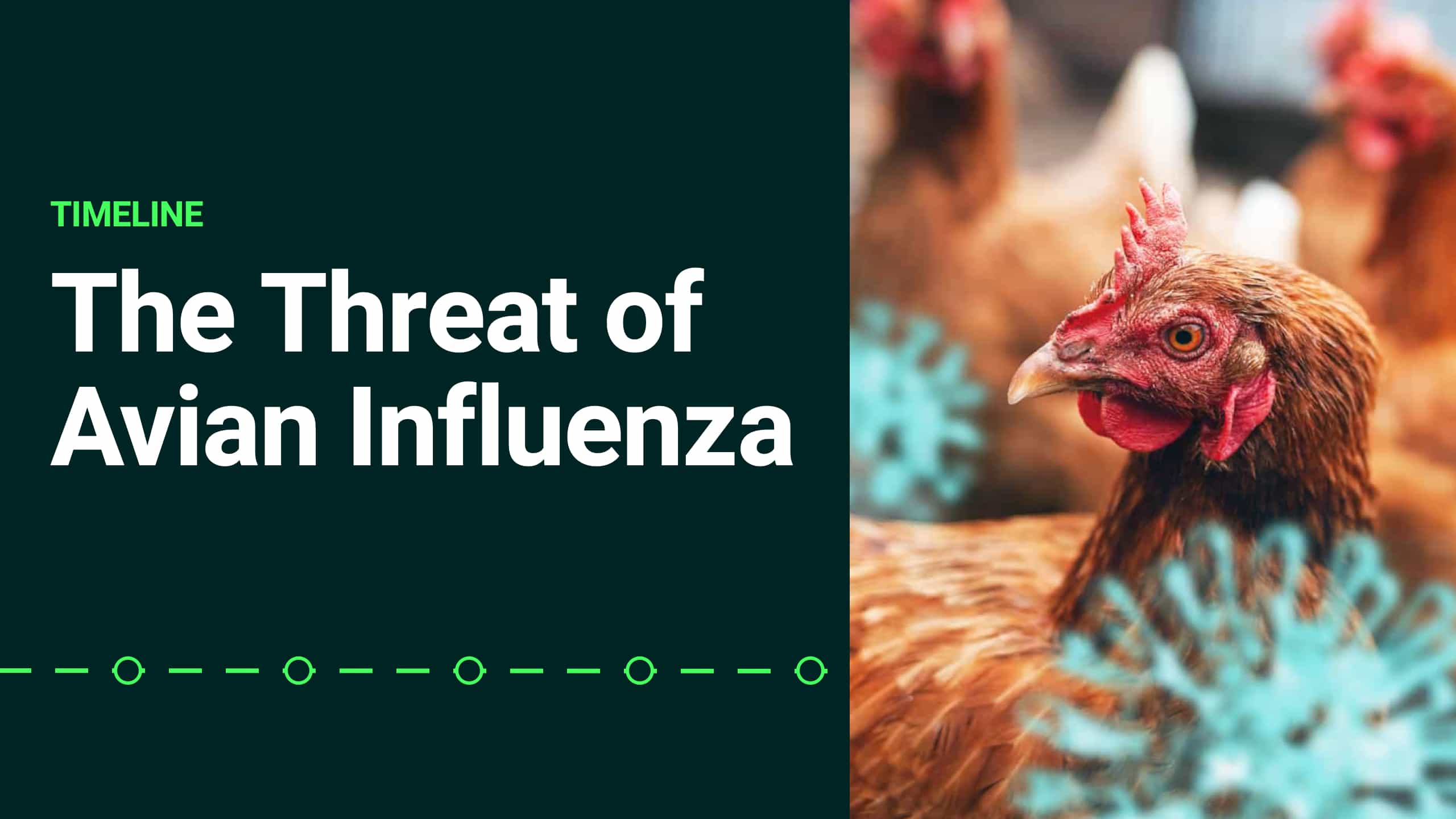 The Threat of Avian Influenza | Avicena